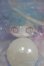 画像1: POPMART/AZURA I-25-06-01-1037-TO-ZI (1)