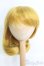 画像1: 8-9inch/ウィッグ I-25-06-22-3026-TO-ZI (1)