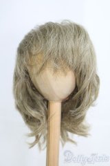 9-10inch/ウィッグ I-25-06-29-3040-TO-ZI