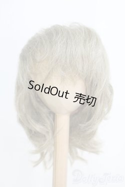 画像1: 9-10inch/ウィッグ I-25-06-29-3040-TO-ZI