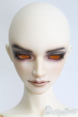 画像2: SD17男の子/Ludo〜the Grey Tail〜灰白狼のルド I-25-06-01-1001-YB-ZI
