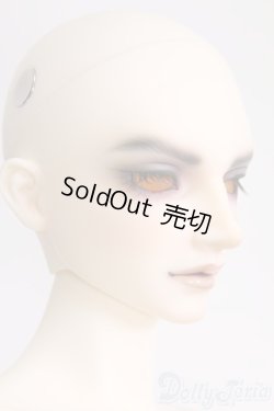 画像3: SD17男の子/Ludo〜the Grey Tail〜灰白狼のルド I-25-06-01-1001-YB-ZI