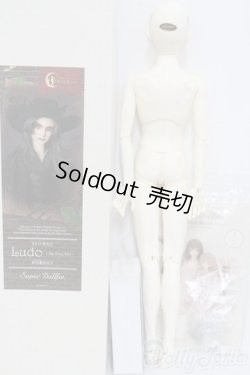 画像7: SD17男の子/Ludo〜the Grey Tail〜灰白狼のルド I-25-06-01-1001-YB-ZI