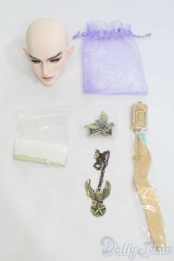 画像6: Ringdoll/Ashford 2.0 ヘッド I-25-06-01-1041-YB-ZI