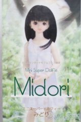 MSD/みどり I-25-06-08-1005-TO-ZI