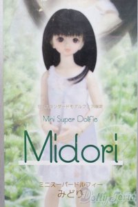 MSD/みどり I-25-06-08-1005-TO-ZI