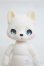 画像1: cocoriang/arno:Basic Pet Open Blue Eyes I-25-06-08-1011-YB-ZI (1)