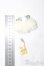 画像2: cocoriang/OF:衣装セット/0 I-25-07-13-3071-YB-ZI (2)