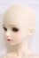 画像2: MYOUDOLL/Vera I-25-06-08-1008-TO-ZI (2)