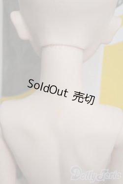 画像7: DDS/菊地真 I-25-06-15-1004-TO-ZI