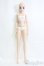 画像5: Smart Doll/Haruka(末永遥香) I-25-06-08-1009-TO-ZI