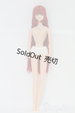 画像2: キャッスル/みらい:おたのしみドール I-25-06-15-1043-TO-ZI