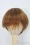 画像1: 6-7inch/ウィッグ/インチ　BJD　MJD　ドール用 I-25-07-13-2012-TO-ZI (1)