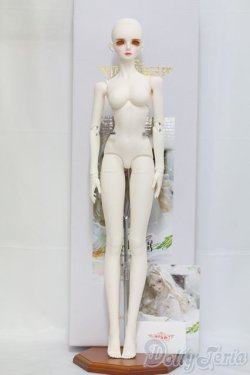 画像5: LUTS/Senior Delf Muse EVELINE I-25-06-15-1005-TO-ZI