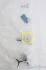 リーメント/天文学者の不思議な研究所 I-25-06-15-1069-TO-ZI