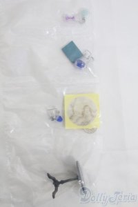 リーメント/天文学者の不思議な研究所 I-25-06-15-1069-TO-ZI