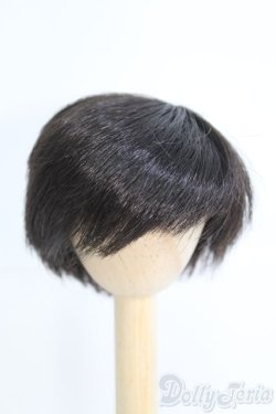 画像1: 6-7inch/ウィッグ/インチ　BJD　MJD　ドール用 I-25-07-06-2014-KD-ZI
