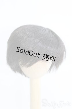 画像1: 6-7inch/ウィッグ/インチ　BJD　MJD　ドール用 I-25-07-06-2014-KD-ZI