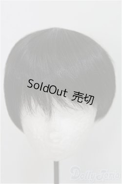 画像1: 8-9inch/ウィッグ　BJD　MJD　ドール用 I-25-08-03-189-KD-ZI