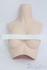 DD/外皮パーツ胸 I-25-06-22-1053-YB-ZI