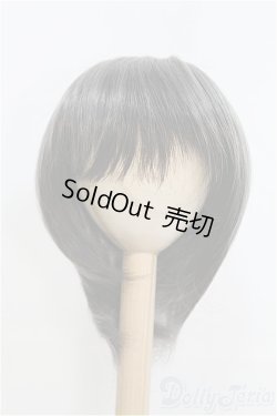 画像1: 9-10inch/ウィッグ/インチ　BJD　MJD　ドール用 I-25-07-27-147-TO-ZI