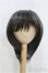 画像1: 9-10inch/ウィッグ/インチ　BJD　MJD　ドール用 I-25-07-27-147-TO-ZI (1)