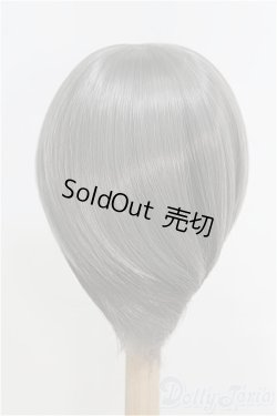 画像2: 9-10inch/ウィッグ/インチ　BJD　MJD　ドール用 I-25-07-27-147-TO-ZI