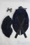 画像2: SD/OF ミスティックブルーローズ(ボークス製)/1/3　60ｃｍ　BJD　MJD　衣装　ドール用 I-25-07-13-2040-TO-ZI (2)