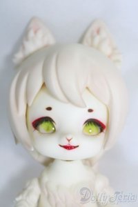 SIO2/狸花猫 I-25-06-29-1003-TO-ZI