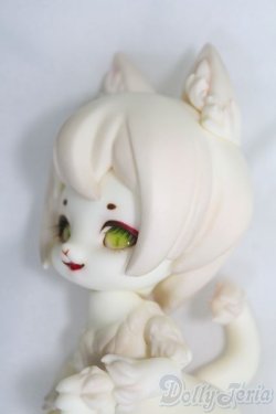 画像3: SIO2/狸花猫 I-25-06-29-1003-TO-ZI