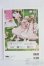 画像2: 書籍/Dolly Japan vol.4 I-25-06-29-1060-TO-ZI (2)