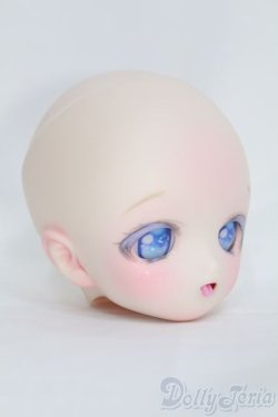 画像2: DD/DDH-01カスタムヘッド I-25-06-29-1040-TO-ZI