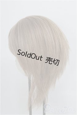 画像2: 8-9inch/ウィッグ　BJD　MJD　ドール用 I-25-08-03-184-KD-ZI