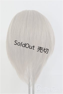 画像3: 8-9inch/ウィッグ　BJD　MJD　ドール用 I-25-08-03-184-KD-ZI