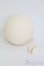 画像2: Tinyfox/1/6用ドールヘッド/BJD　球体関節人形 I-25-07-06-1032-TO-ZI (2)