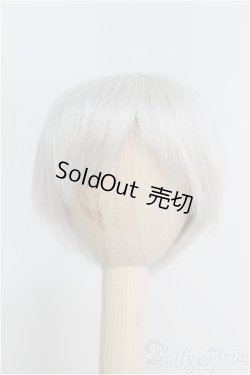 画像1: 6-7inch/ウィッグ/インチ　BJD　MJD　ドール用 I-25-07-27-127-TO-ZI