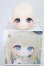 画像1: Tiny Fox 1/6/カスタムヘッド(06S)m.t*様 一式セット/BJD　球体関節人形 I-25-07-06-1052-YB-ZI (1)