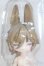 画像1: 不可食用人形 Inedible Doll/月飛び時間シリーズ梧秋/ I-25-07-06-1021-YB-ZI (1)