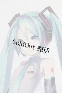 DD/初音ミク/BJD　球体関節人形 I-25-07-06-1006-YB-ZI