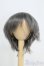 画像1: 7-8inch/ウィッグ/インチ　BJD　MJD　ドール用 I-25-07-13-1030-KD-ZI (1)