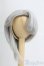 画像1: 8-9inch/ウィッグ/インチ　BJD　MJD　ドール用 I-25-07-13-1032-KD-ZI (1)