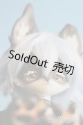 coralreefdoll/Little Wolf Ow Woo Woo/BJD　球体関節人形 I-25-07-13-1003-KD-ZI