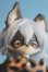 画像1: coralreefdoll/Little Wolf Ow Woo Woo/BJD　球体関節人形 I-25-07-13-1003-KD-ZI (1)