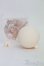 画像4: TinyFox/1/6:01Sヘッド/BJD　球体関節人形 I-25-07-13-1008-SK-ZI (4)