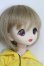 画像2: MDD/ベースボディIII　DDH-22カスタムドール/BJD　球体関節人形 I-25-07-13-1054-KD-ZI (2)