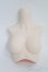 画像1: DD/DD2.0(DD-f3)-B-L-SW 上半身パーツ L胸/BJD　球体関節人形 I-25-07-20-152-SK-ZI (1)