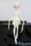 画像6: Coral Reef Doll/Opal　head/BJD　球体関節人形 I-25-07-20-201-KD-ZI