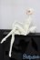 画像8: Coral Reef Doll/Opal　head/BJD　球体関節人形 I-25-07-20-201-KD-ZI