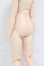 画像3: MDD/ベースボディ　カスタム I-26-07-02-285-KD-ZI (3)