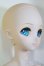 画像4: DDS/鏡音リン/BJD　球体関節人形 I-25-07-20-255-KD-ZI